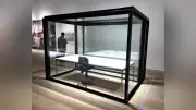 京都市京セラ美術館で「テート美術館―ＹＢＡ＆ＢＥＹＯＮＤ」展 9月6日まで