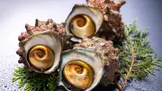 減りゆく磯の王者サザエ　コリコリの歯応えと心地よいオトナの味