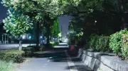 公園でタダで採れる「今が旬」の高級食材セミの魅力