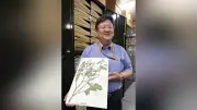「皇居のダイコン」標本の価値　科想空感で植物標本の意義を考察