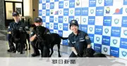 神戸税関に麻薬探知犬3匹が同時デビュー、初の試みで密輸摘発へ