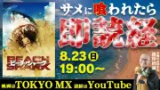 TOKYO MX『ビーチ・シャーク』でサメに喰われたら即読経・即供養の同時視聴パーティー開催