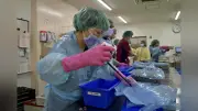 千葉大病院へ東京科学大病院が器材洗浄施設提供、手術制限続く中で異例の支援