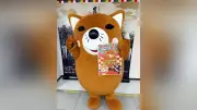 豊川市の「いなりん」、世界ご当地キャラグランプリに出場　投票呼びかけ