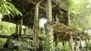 戦後81年、南の楽園パラオで戦火の記憶を辿る　ペリリュー島の惨禍と今