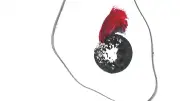 伝統芸能の継承は「人を遺す」使命 文楽の厳しい稽古と師弟愛