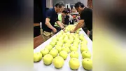 二十世紀梨の査定会、大玉で高糖度に仕上がる 27日から販売
