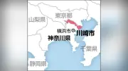 体長2メートルのニシキヘビ2匹、川崎市のマンションから脱走