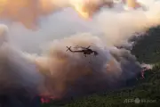 ギリシャの山火事で消火活動中のヘリコプター2機が空中衝突、乗組員2人死亡（デンマーク人とギリシャ人）