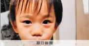 京都府宇治市の幼稚園児、2歳男児が岡山県矢掛町の祖母宅帰省中に行方不明になったと岡山県警が1日発表した