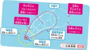台風の予報円の誤解：円の外でも雨は降る、気象庁研究者が解説