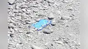 河川敷の不発弾、２５０キロ爆弾と判明 長崎県大村市で通報