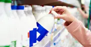なぜ定番品が「欠品」するのか？「予測発注」の限界と先進企業が見いだした「次の解」