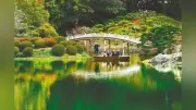 栗林公園に体長1mのイノシシ、北庭の芝生広場を横切る…香川県がわな設置を検討