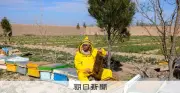 タリバン支配下のアフガニスタンで起業する女性たち、許可証保有者は5年で10倍に