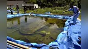 海底から引き揚げた紫電改、塩抜き中 展示には課題