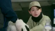 山田杏奈主演「リラの花咲くけものみち2」22日スタート 獣医師の成長描く続編