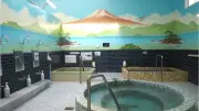 愛媛の泊まれる銭湯「大正湯＋plUS」薪で湯を沸かすスタイル守る 家族会議で改革決断