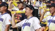 横浜・脇山捕手の父、慶一さんがスタンドから声援「最後まで全力で」