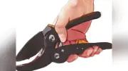 悲しみのない世界　第２３２回　東山彰良の連載小説