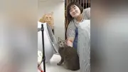 ヨネダ2000・愛さん、保護猫ところてんとの出会いと家族になるまで