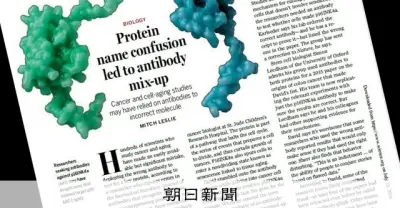 老化研究の抗体取り違え疑惑、p16-INK4aとp16-ARCを混同か