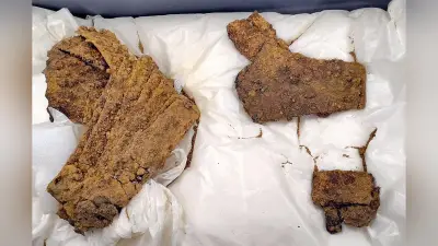 三重・鈴鹿の古墳で甲と冑がそろって出土、約1500年前の副葬品