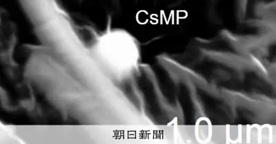福島第一原発事故の「セシウムボール」、大量放出の時期と飛散経路を解明
