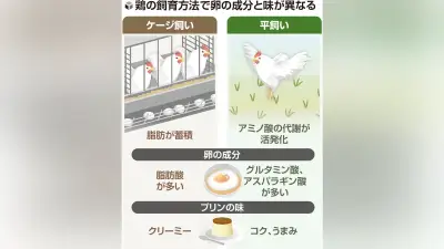 鶏の飼育環境で卵の味が変化、平飼いとケージ飼いで成分に差 東京農工大など発表