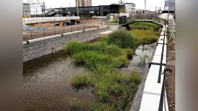 西鉄柳川駅前からどんこ舟川下り、27年6月に延伸完了後開始へ