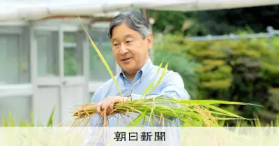 天皇陛下、皇居で稲刈り　もち米など20株を収穫、作柄は平年並み