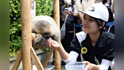 「五感でふれる」動物との対話 アドベンチャーワールドのふれあい広場
