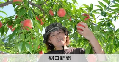「大嫌い」だった農家を継いだ4代目、実った桃がもたらす夢と仲間