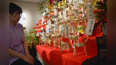 芦屋町の「八朔の節句」展示、わら馬と団子雛で成長願う