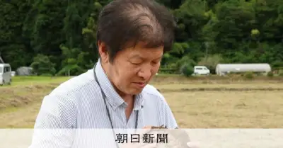 能登豪雨2年、珠洲の水田に大量の石 農業法人「何もしなければ農地は消える」
