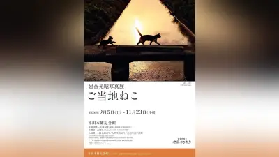 岩合光昭さんのネコ写真展、出雲で5日から 約150点展示