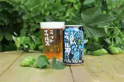 軽井沢星野エリアで限定クラフトビール提供、乾杯イベントも開催