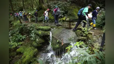 熊野古道伊勢路、戻りはタクシーで　三重県が19日から実証運行
