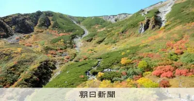 雪解け遅い年ほど高山帯の紅葉が鮮やか、定点カメラ解析で判明