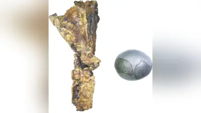 日本初の恐竜化石モシリュウ、発見秘話と竜脚類特別展の見どころ