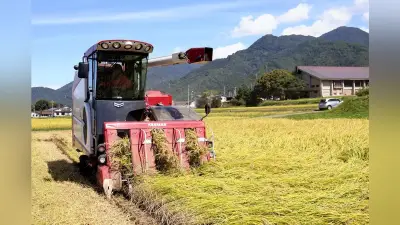 長野県産コシヒカリ概算金、前年比4割減の1万6730円に