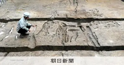 平城京の八条大路跡を確認、轍や牛の足跡も 遷都後に造営か