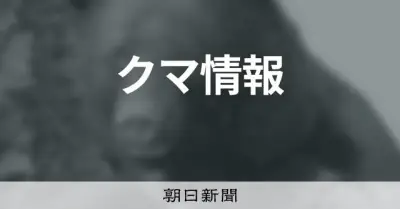 国スポのゴルフ少年男子、クマ出没で中止 青森市のコース