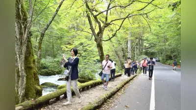 奥入瀬渓流で初の完全交通規制、車1台も通らず…知事「少し先の未来の姿を実現」