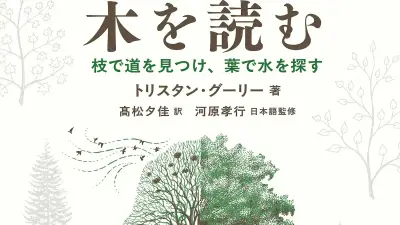樹木が伝える数えきれないサイン『木を読む』書評、観察の楽しみを紹介