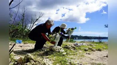 辺野古沖転覆事故半年、運航団体幹部ら砂浜で献花