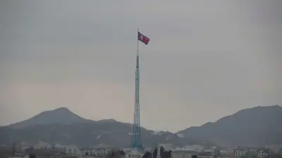 韓国軍、DMZ地雷爆発6日目で調査開始 北朝鮮関与の可能性も