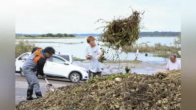 台風25号で印旛沼に大量水草、特定外来生物の処分に住民困惑