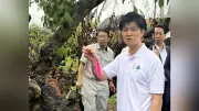 鈴木農相がクビアカ駆除体験「初期で防除できないと厳しいという現実を目の当たりにした」