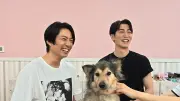 相葉雅紀と渡辺翔太、熊本地震で被災した犬5匹をトリミングで新天地へ送り出す